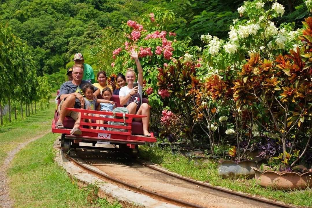 Bamboo Train