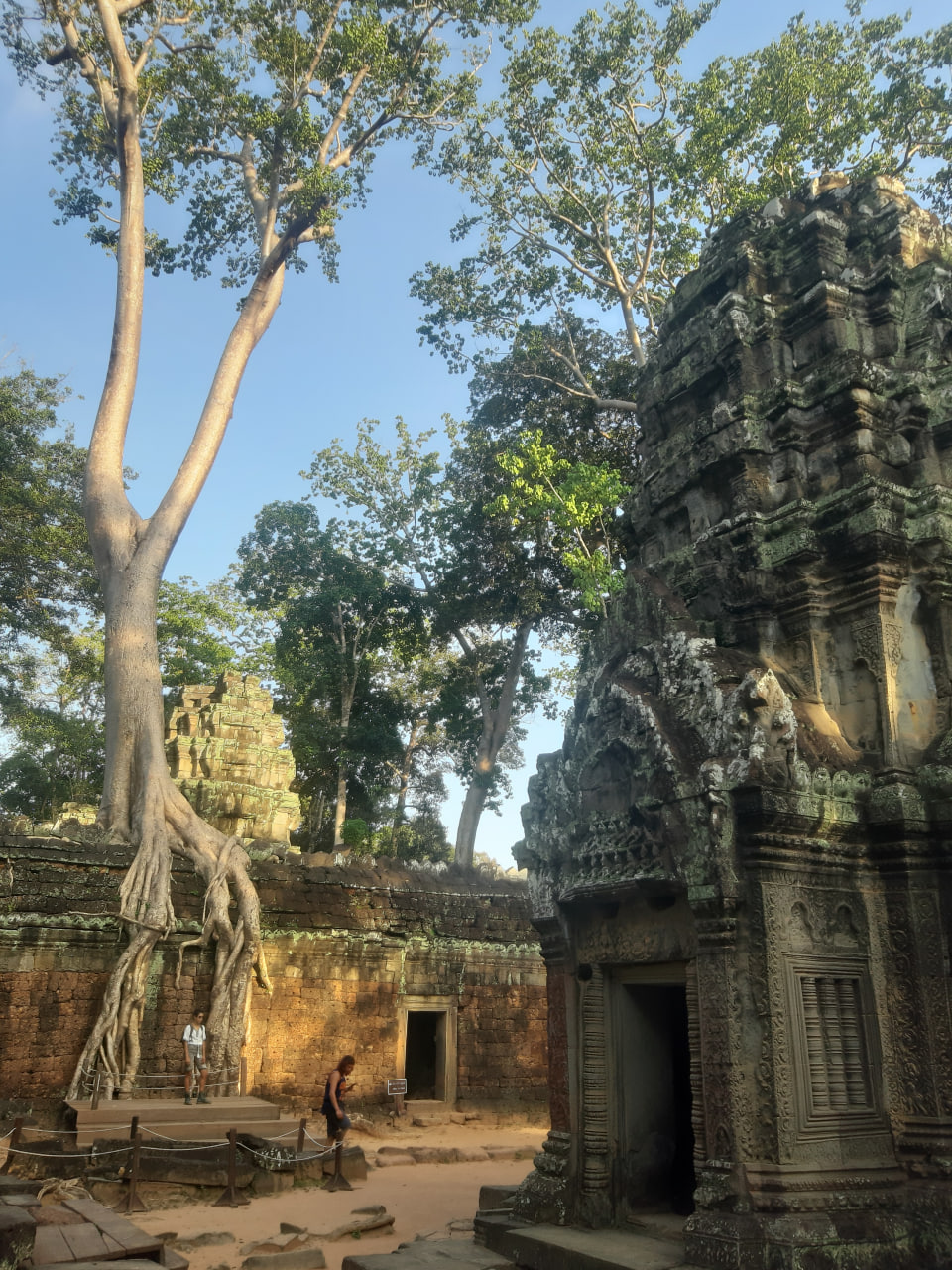 Ta Prohm